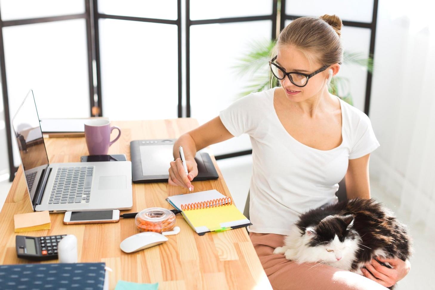 Praktische Finanzmodellierung am Computer